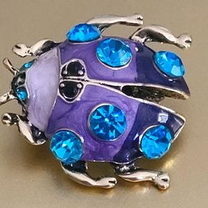 Brooches